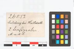 Etikett zu Bernsteinfibelbügelbesatzscheiben (NHMW-PRAE-026852)